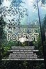 Primary photo for Through the Forest