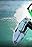 Surftag Championships 2022