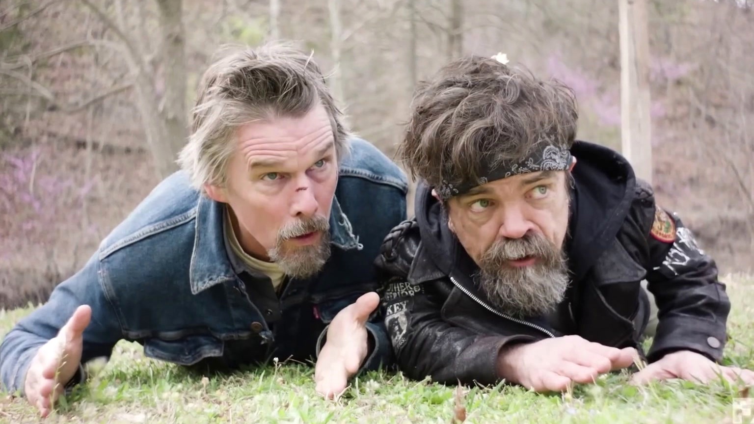 Жалаңаш жазғы тұрғындардың видеосы HD бейне онлайн транс порно