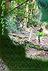 Primary photo for Panic Trail