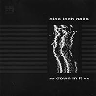 Primary photo for Nine Inch Nails: Down in It