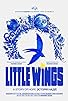 Primary photo for Little Wings