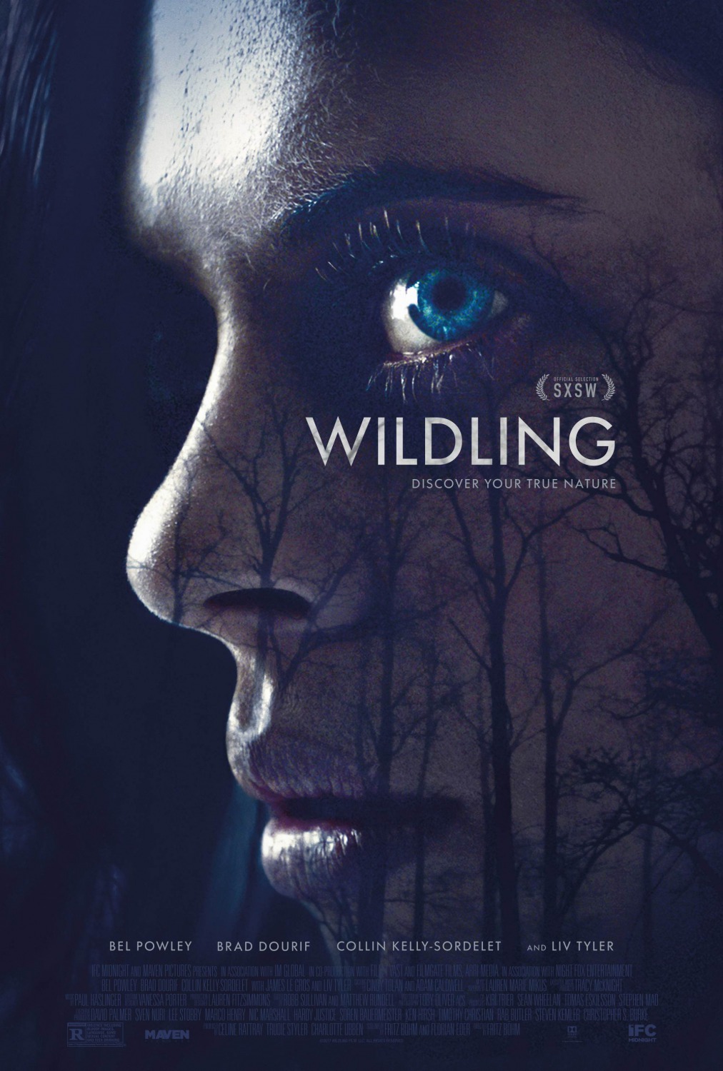 Poster of Wildling