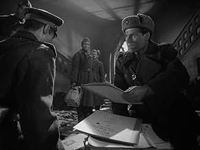 Eshak va mushuklarning yaqindan suratlari Ogizdagi cumshots onlayn