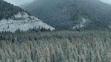 पोस्टर देखें