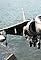 Harrier's primary photo