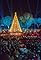 The National Christmas Tree Lighting's primary photo