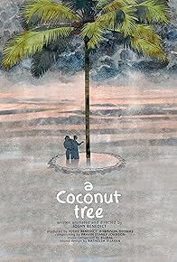 Primary photo for A Coconut Tree