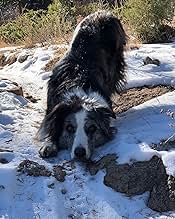 पोस्टर देखें