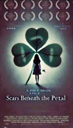 Scars Beneath the Petals