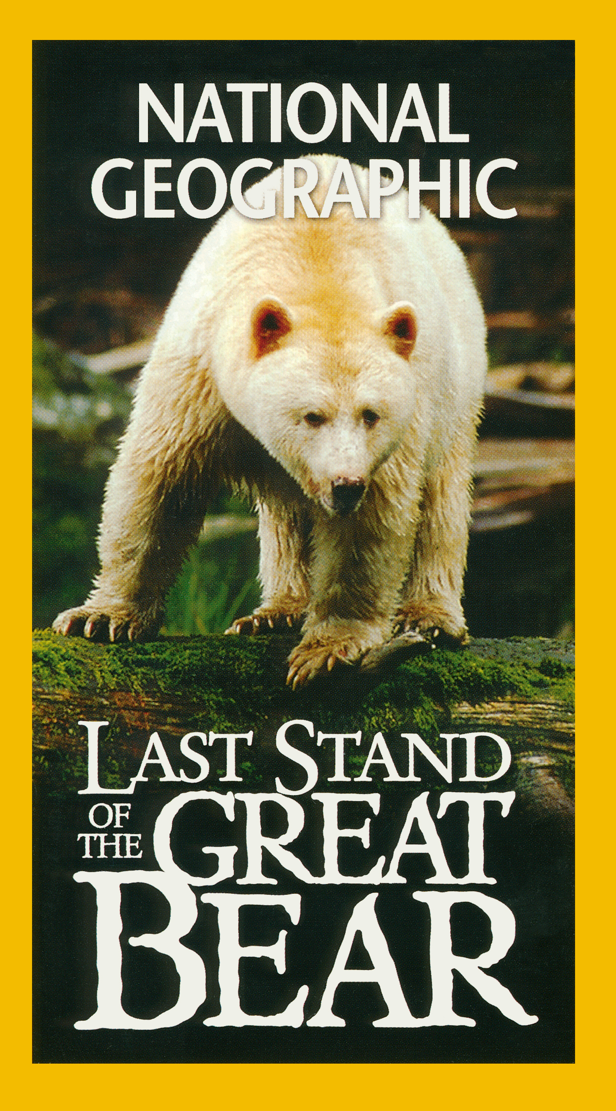 その他 Last Stand of the Great Bear [DVD] Amazon.com: The Great Bear [DVD] : Movies & TV