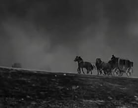 पोस्टर देखें