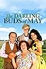 Primary photo for The Darling Buds of May Primary photo for The Darling Buds of May