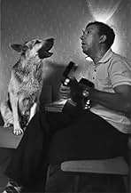 पोस्टर देखें