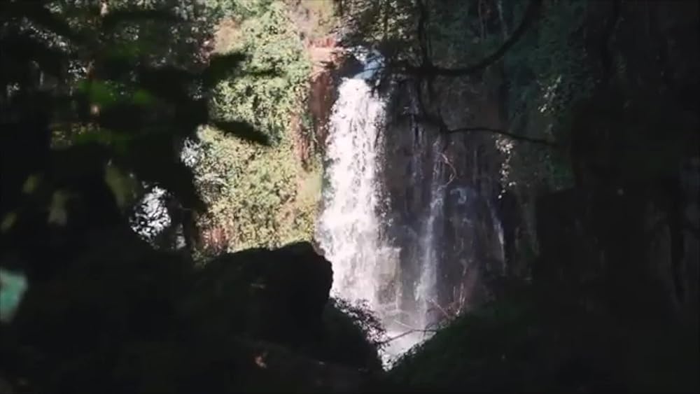 Journey Into The Jungle Voiceover IMDb