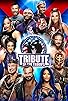 Primary photo for WWE Tribute to the Troops Primary photo for WWE Tribute to the Troops
