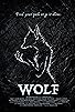 Primary photo for Wolf Primary photo for Wolf