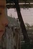 Primary photo for Turtle: A Super 8 Short Film Primary photo for Turtle: A Super 8 Short Film