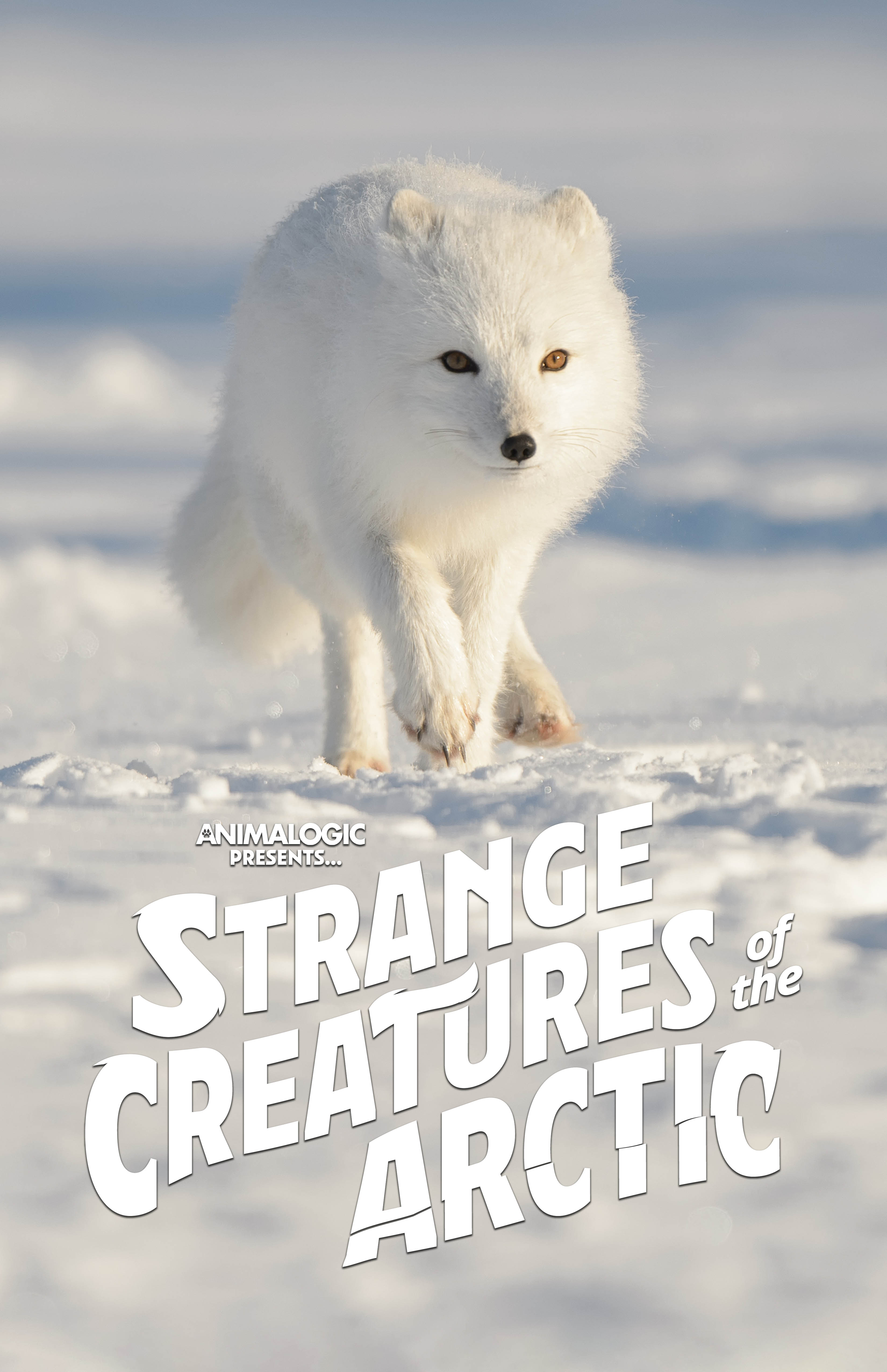 Poster of Strange Creatures of the Arctic