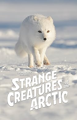 Poster of Strange Creatures of the Arctic