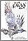 Run Raven Run's primary photo
