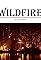 Wildfire!'s primary photo