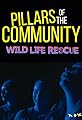 Pillars of the Community: Wildlife Rescue's primary photo