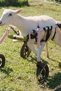 Primary photo for Menina