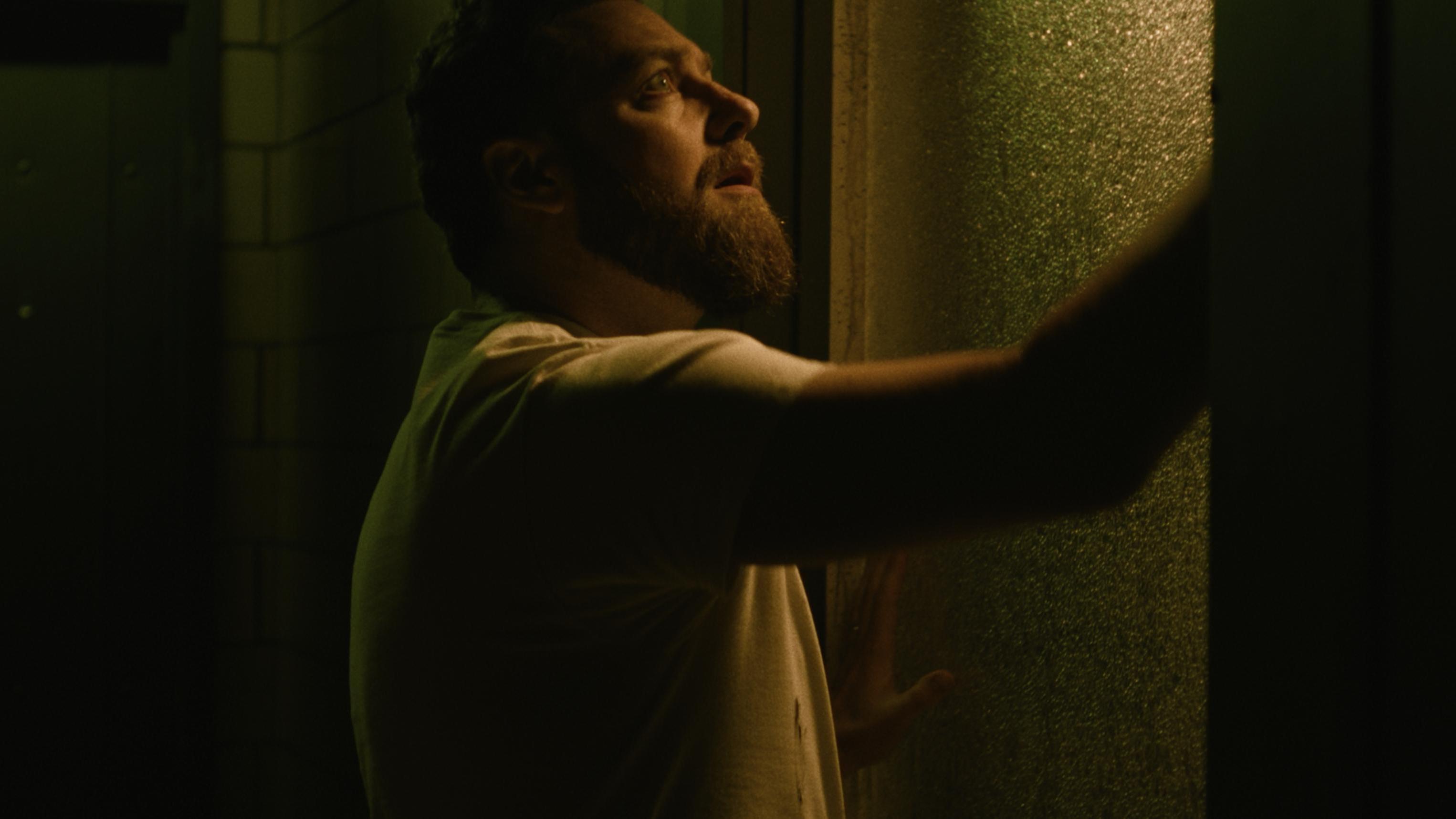 Poster of Descendent