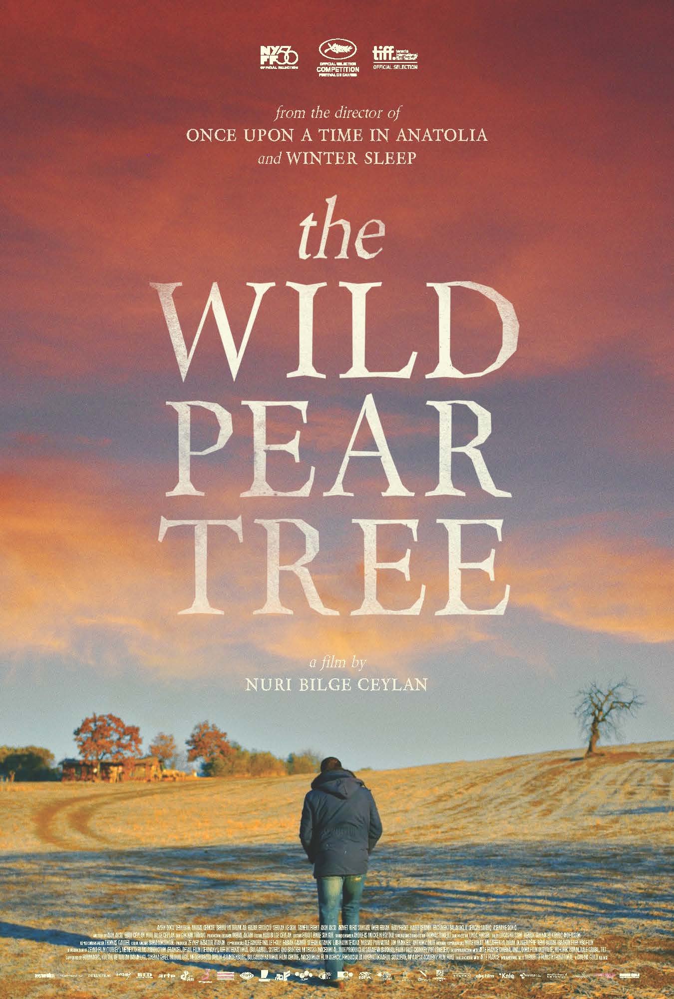 Poster of The Wild Pear Tree