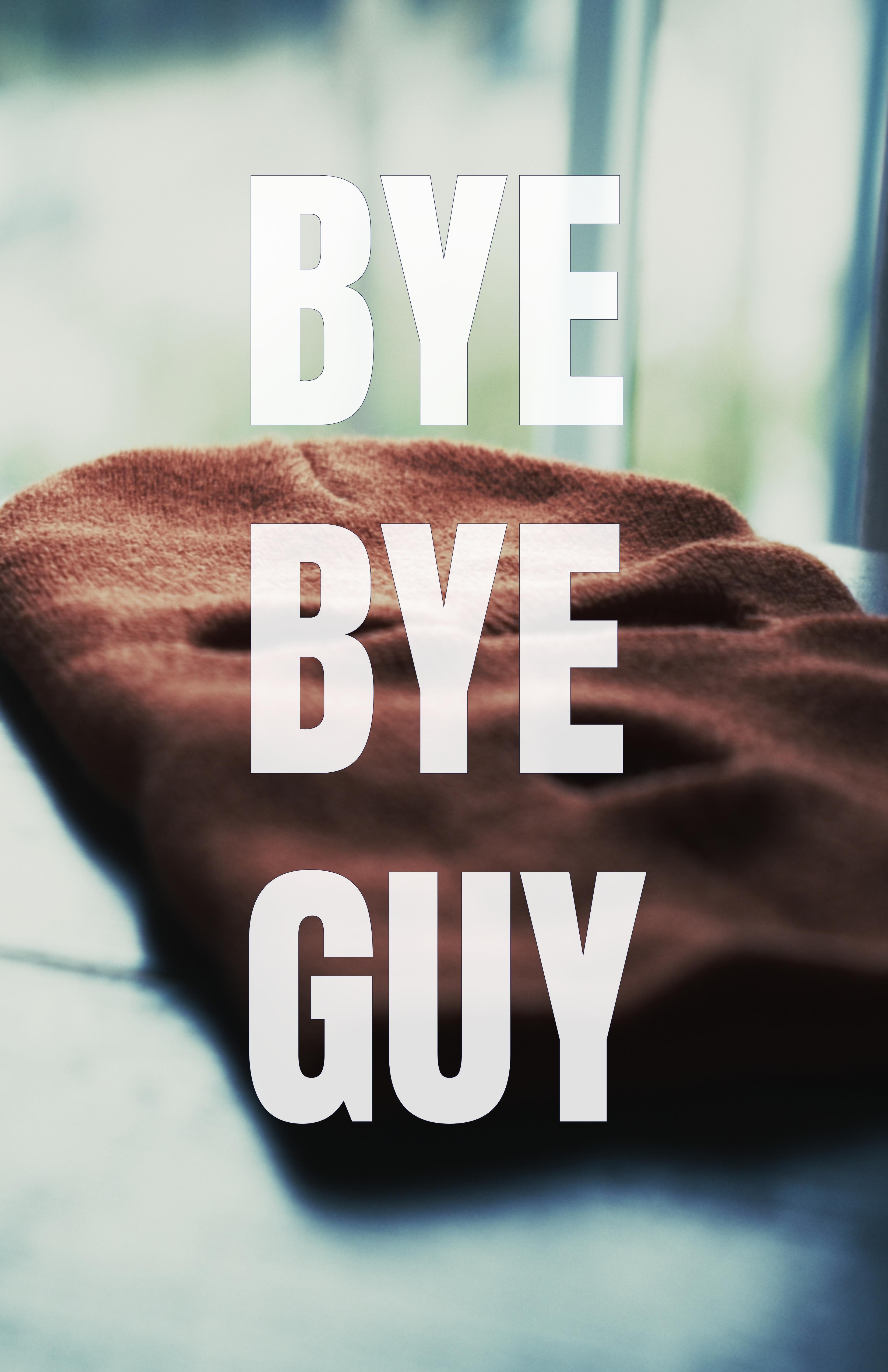 Bye-Bye Guy
