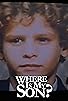 Primary photo for Where Is My Son? Primary photo for Where Is My Son?