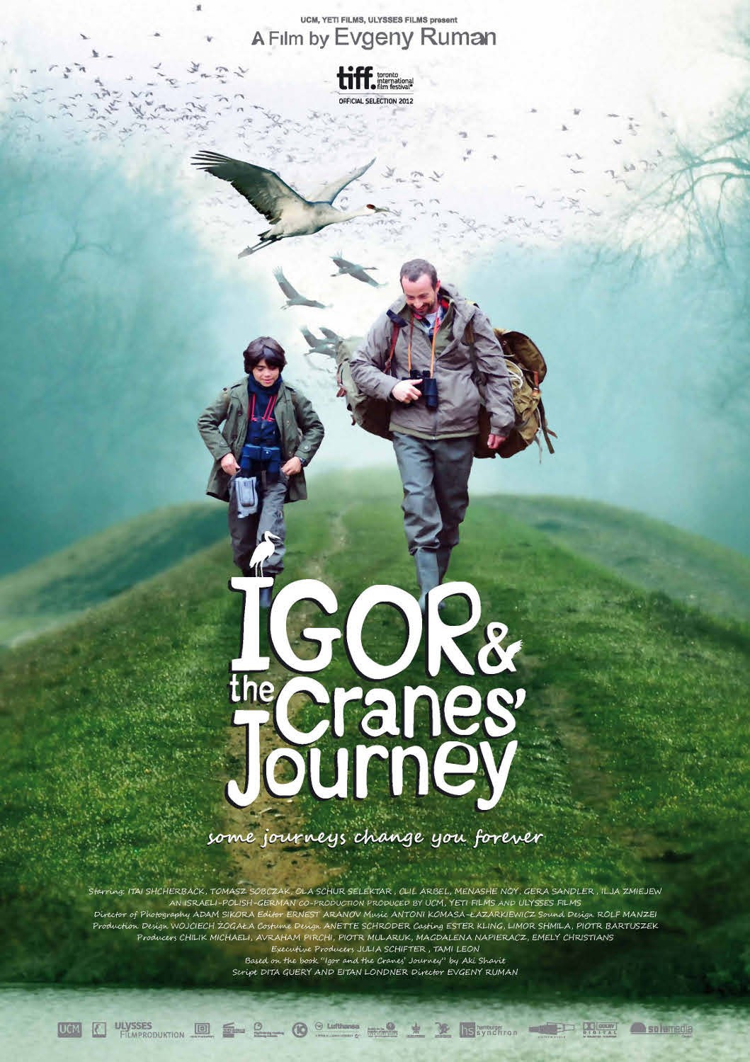 Poster of Igor & the Cranes' Journey