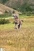 Primary photo for Eukanuba: Magnificence Through Nutrition