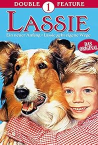 Primary photo for Lassie: A New Beginning Primary photo for Lassie: A New Beginning