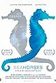 Seahorses's primary photo
