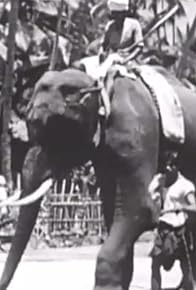 Primary photo for Gli animali in India