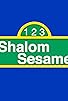 Primary photo for Shalom Sesame Primary photo for Shalom Sesame