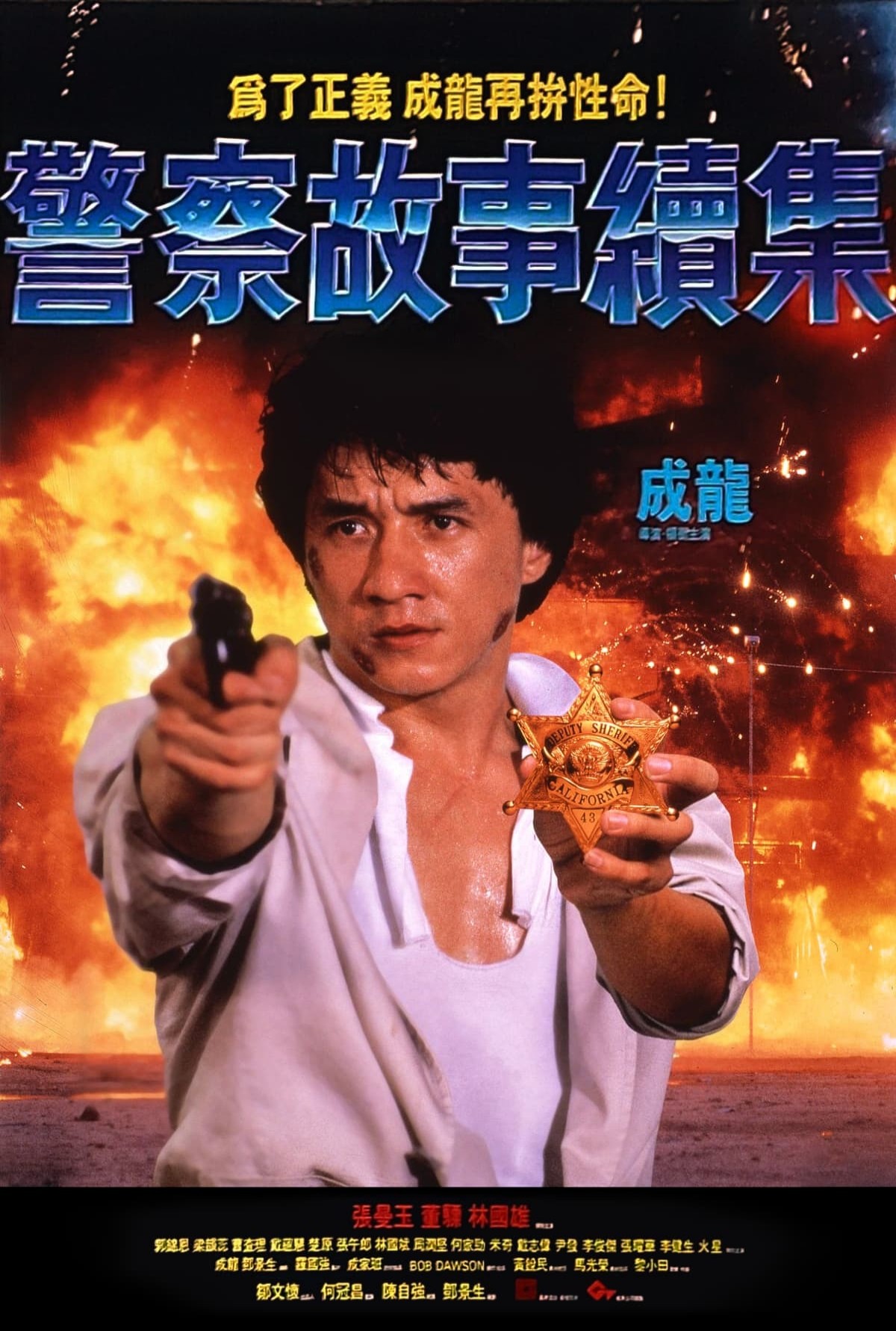 Poster of Police Story 2