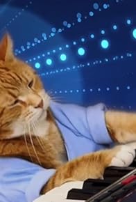 Primary photo for Charlie Schmidt's Keyboard Cat
