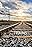Trains