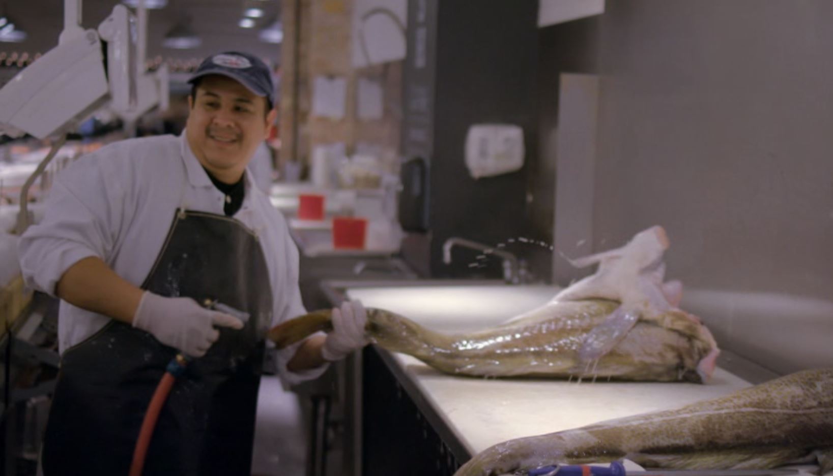 (未使用･未開封品)Frontline: The Fish on My Plate [DVD] [Import] Amazon.com: FRONTLINE: The Fish on my Plate DVD : n/a, n/a