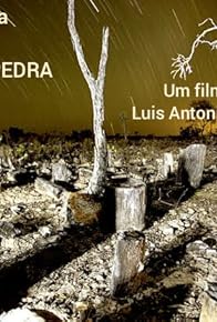 Primary photo for Floresta de Pedra