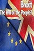 Primary photo for Brexit: The Will of the People