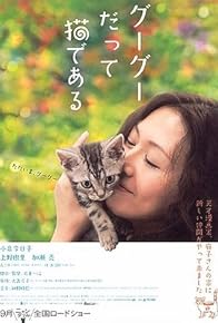 Primary photo for Gou Gou, the Cat Primary photo for Gou Gou, the Cat