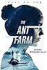 Primary photo for The Ant Farm Primary photo for The Ant Farm