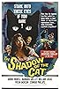 Primary photo for The Shadow of the Cat Primary photo for The Shadow of the Cat