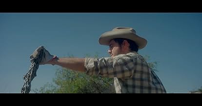 पोस्टर देखें