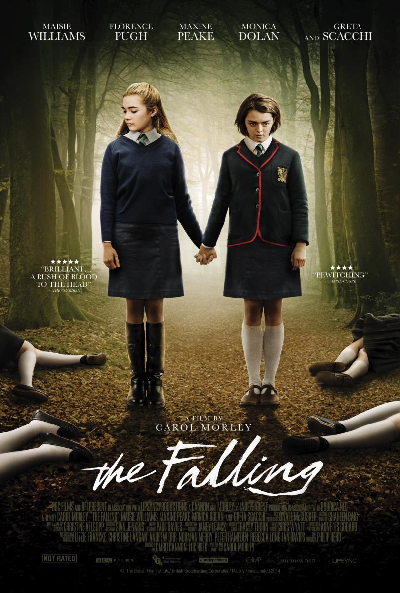 Poster of The Falling