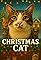 Christmas Cat's primary photo
